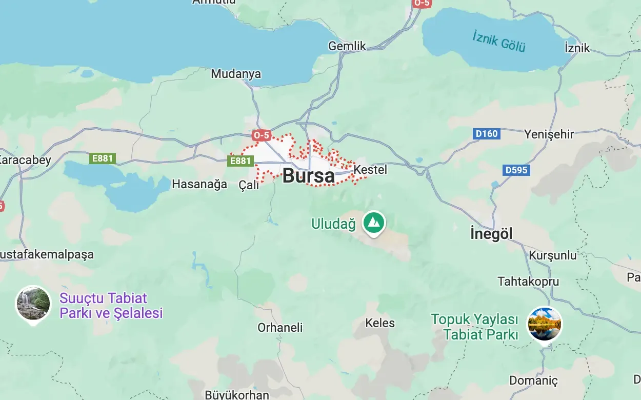 Bursa