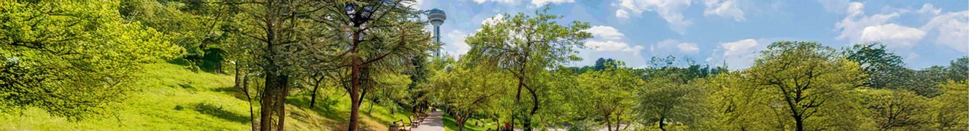cankaya-hakkinda.webp