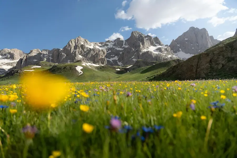 erzincan gezilecek yerler