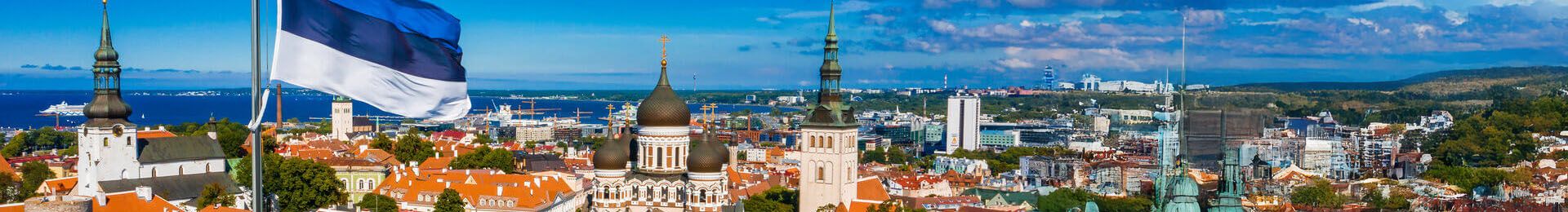 estonya_hakkinda.jpg