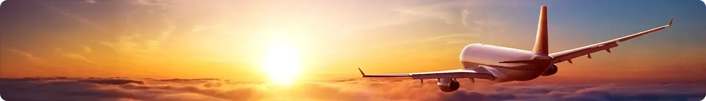 flight tickets