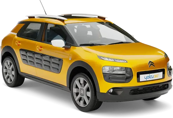 C4 Cactus