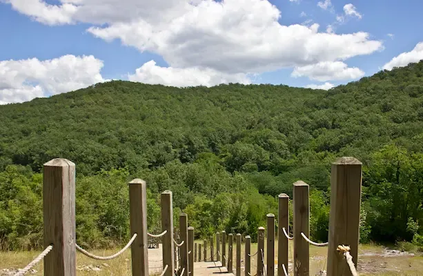 Kırklareli gezilecek yerler, Dupnisa