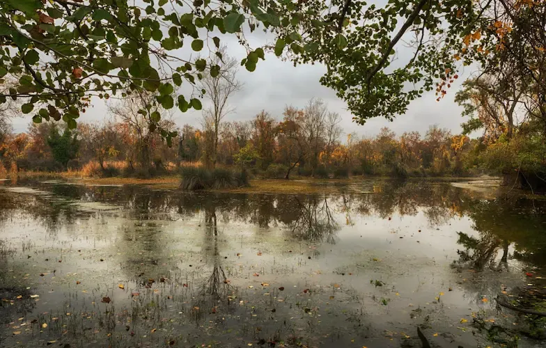 Longoz, Karacabey, Bursa