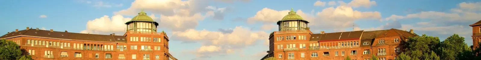 mannheim