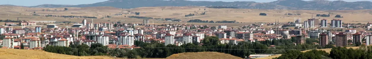 sorgun
